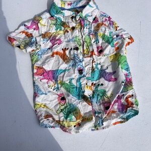 Collared button up shirt